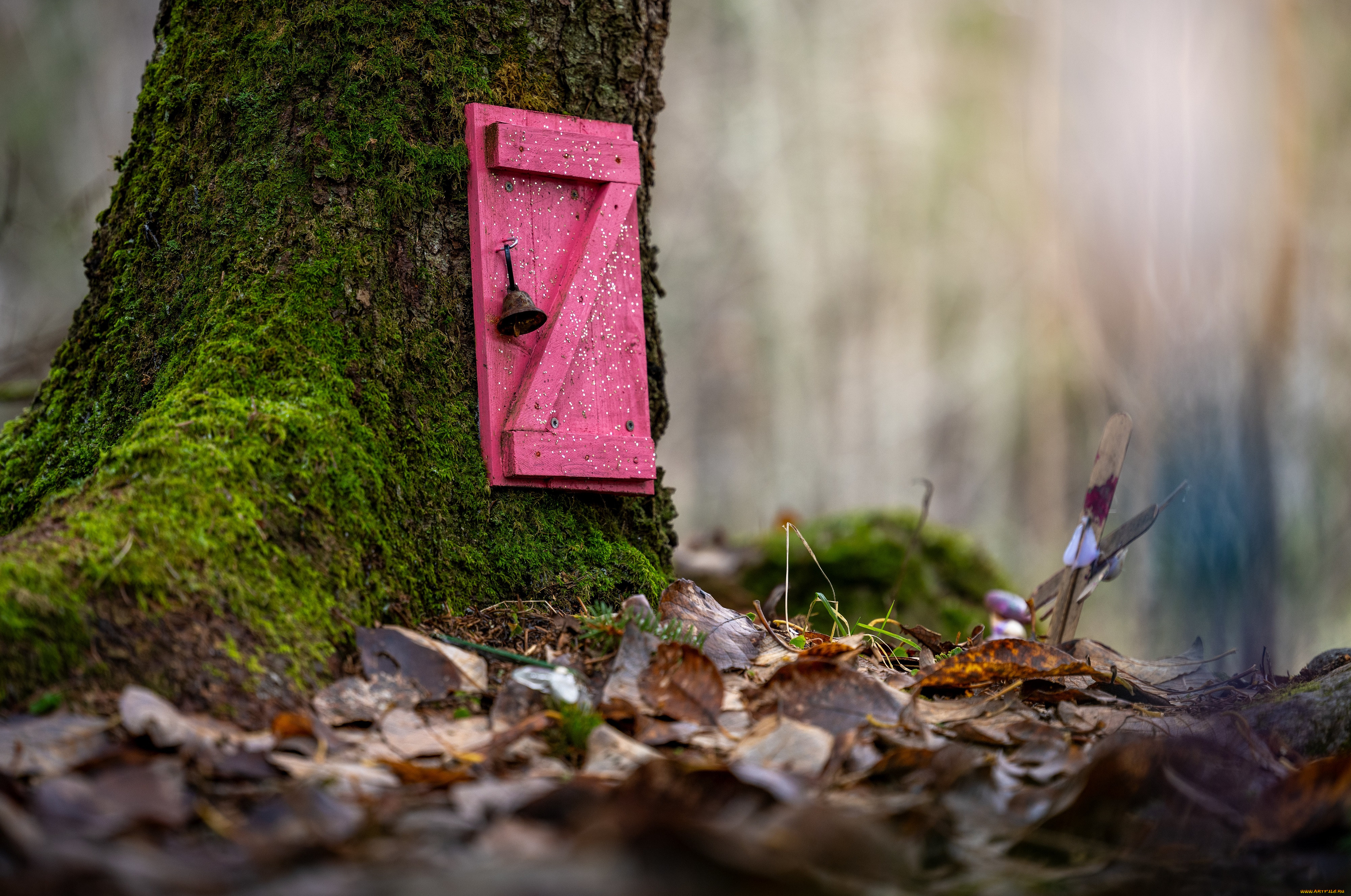 ������, - ������, ������